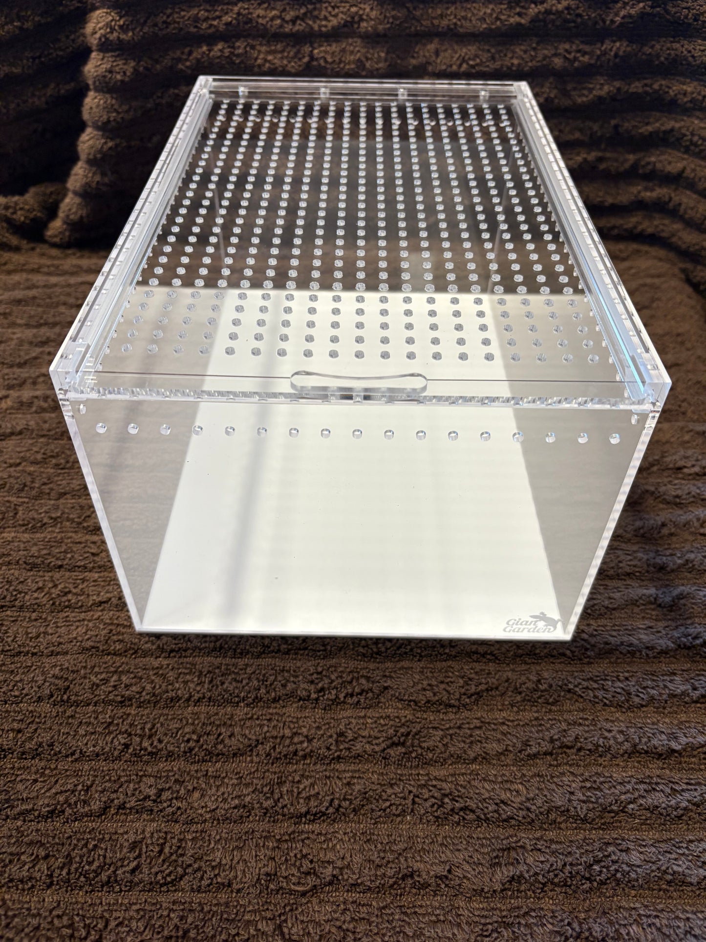 Desktop acrylic isopod enclosure