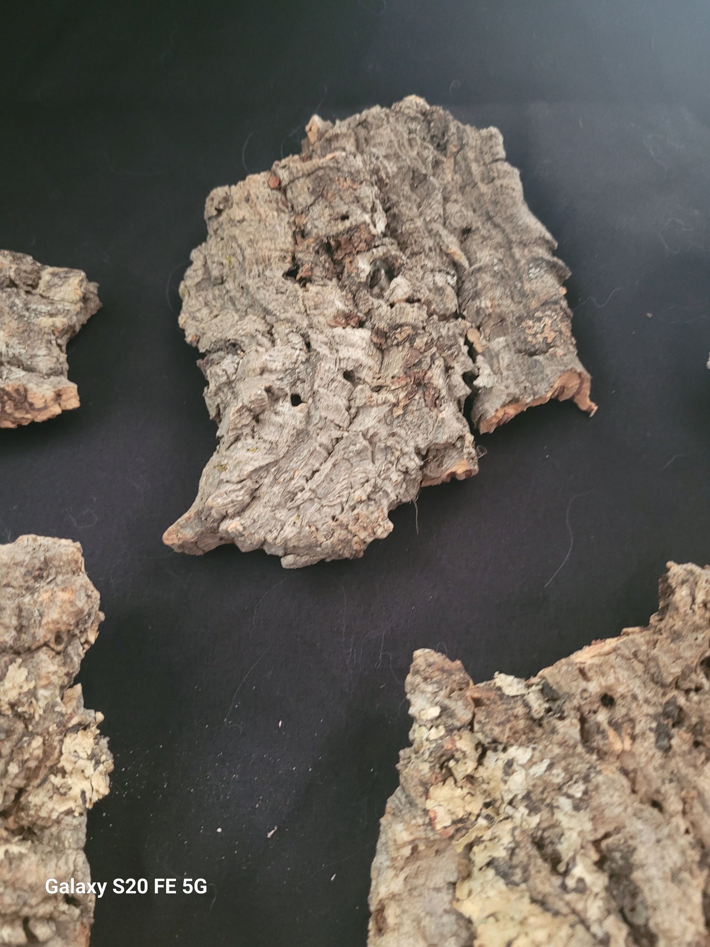 Cork bark flats (4-7”)