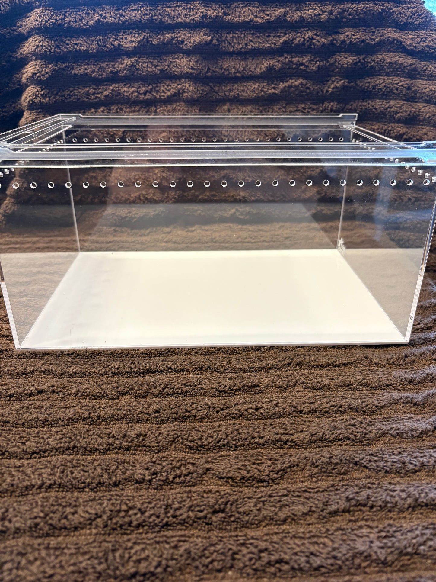 Desktop acrylic isopod enclosure