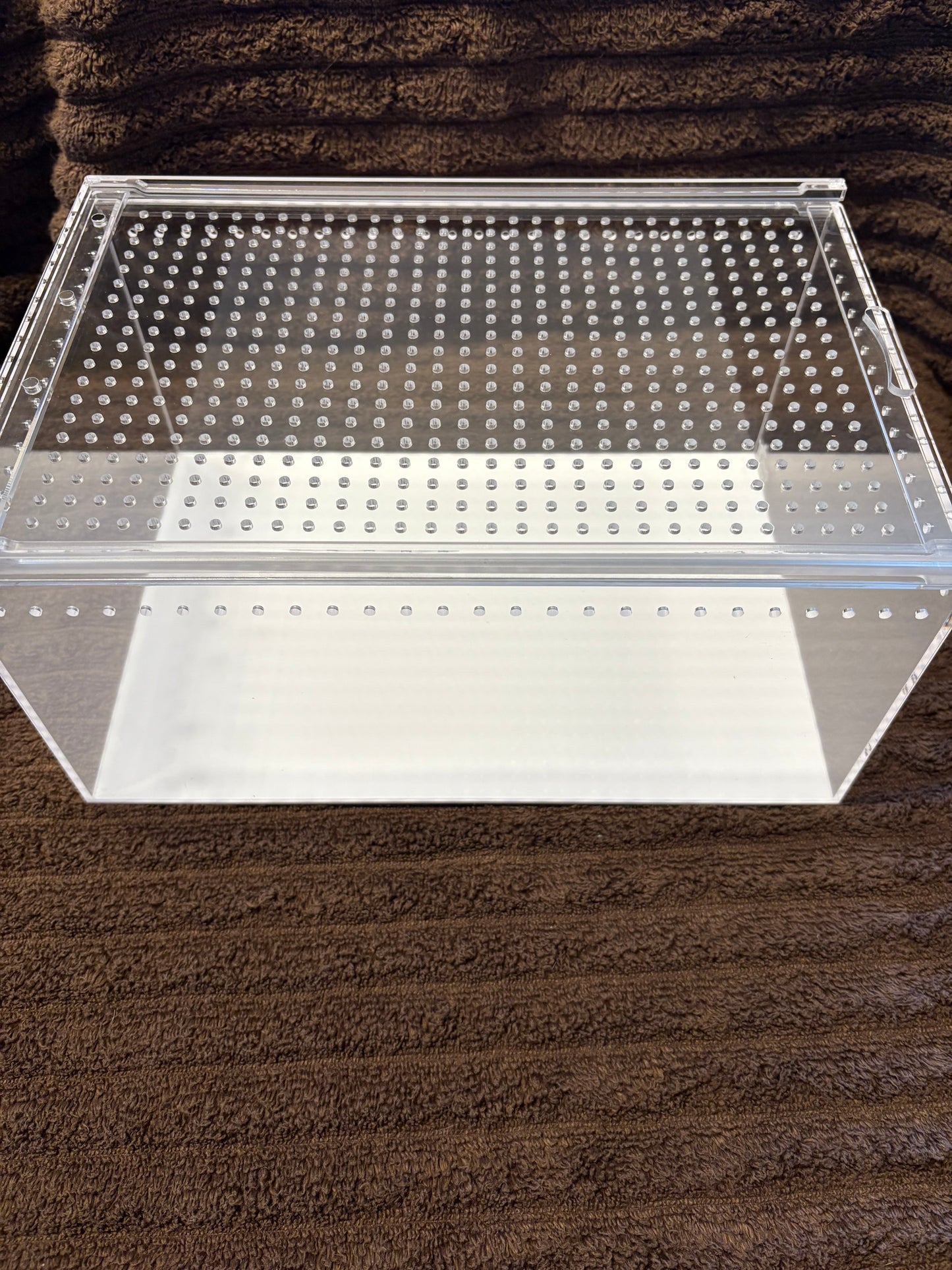 Desktop acrylic isopod enclosure