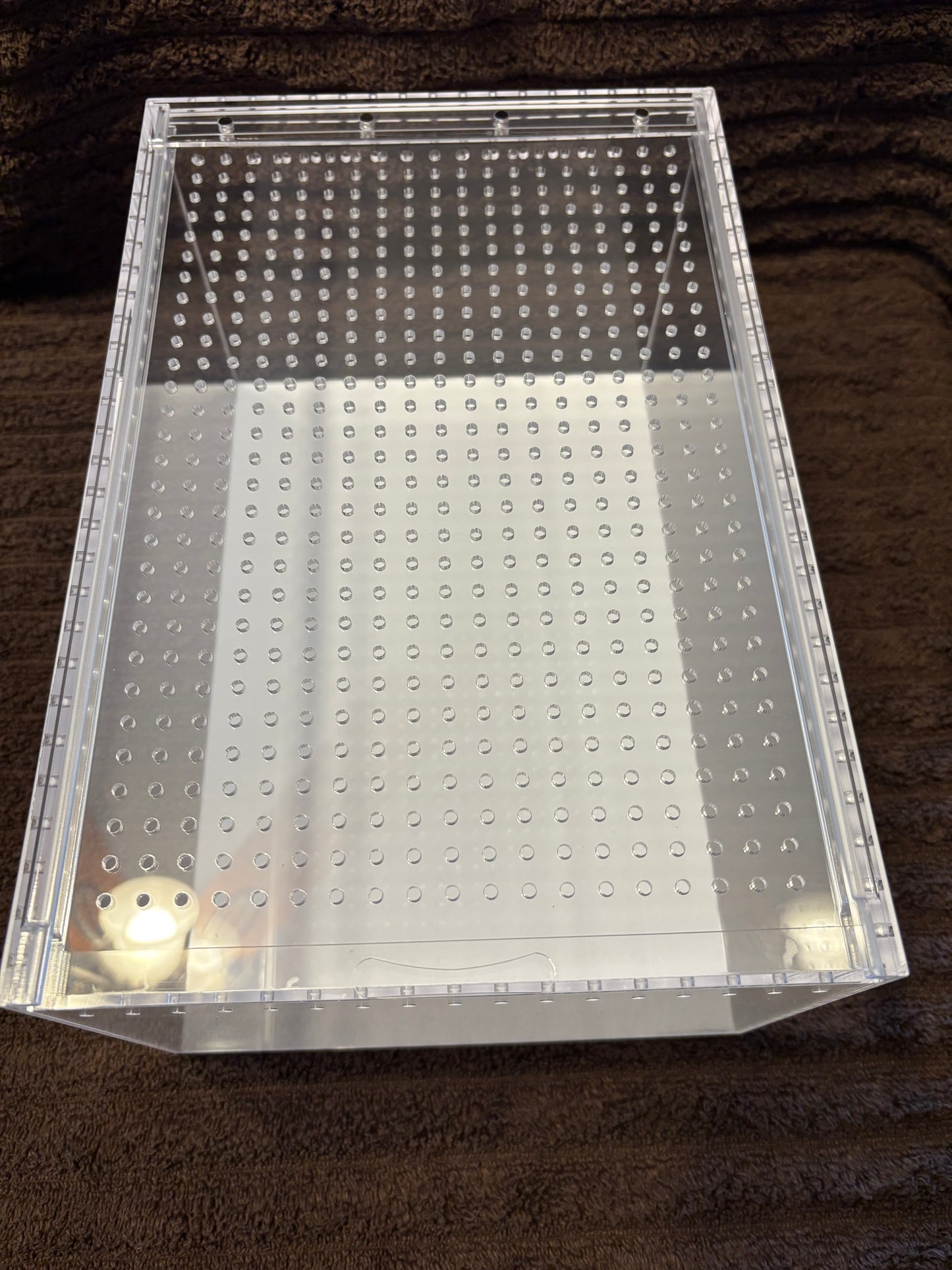 Desktop acrylic isopod enclosure