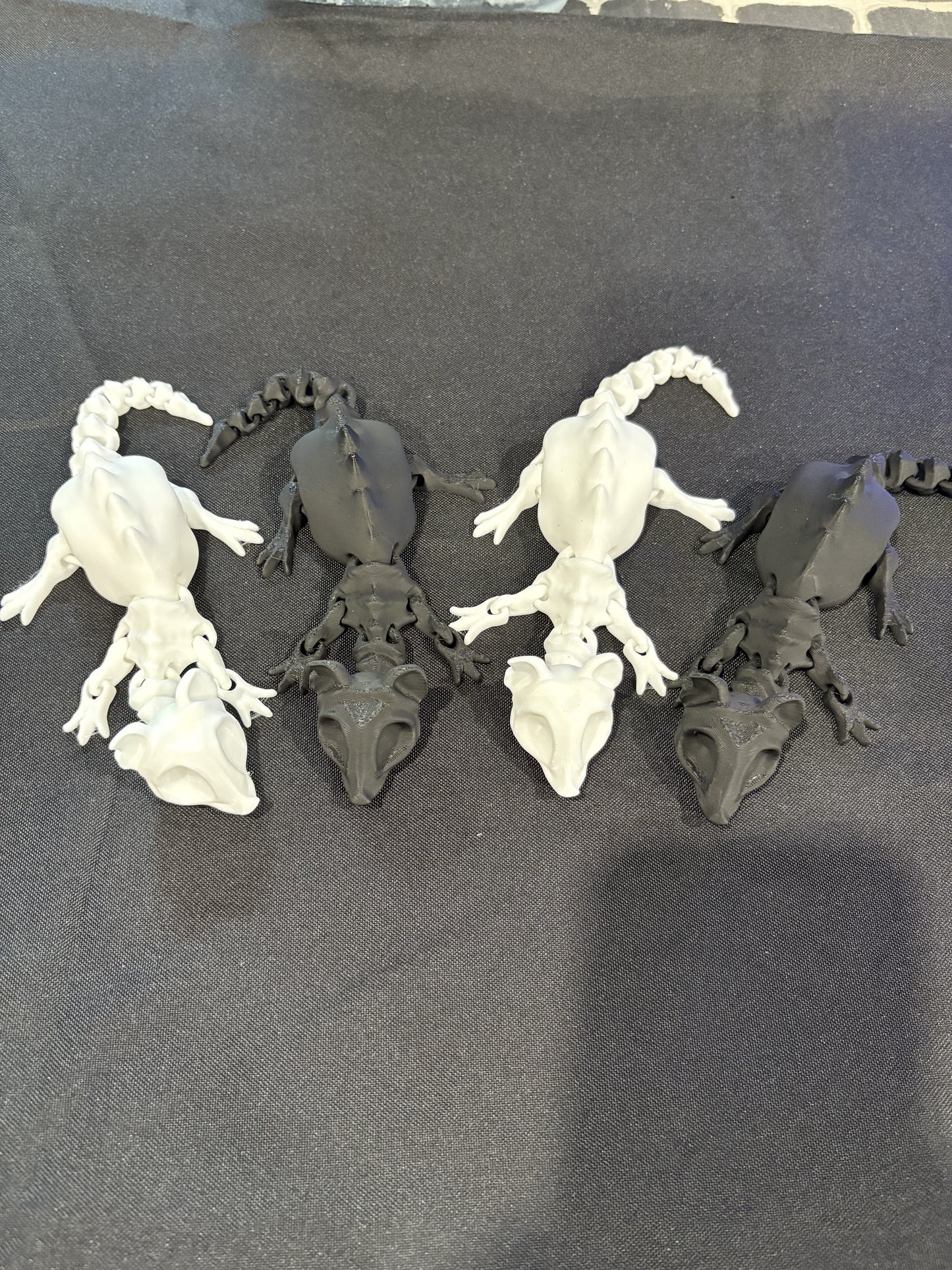 Articulated rat skeleton