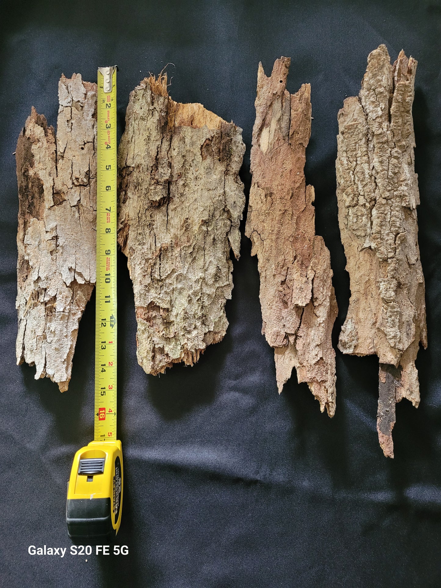 Oak/beech bark