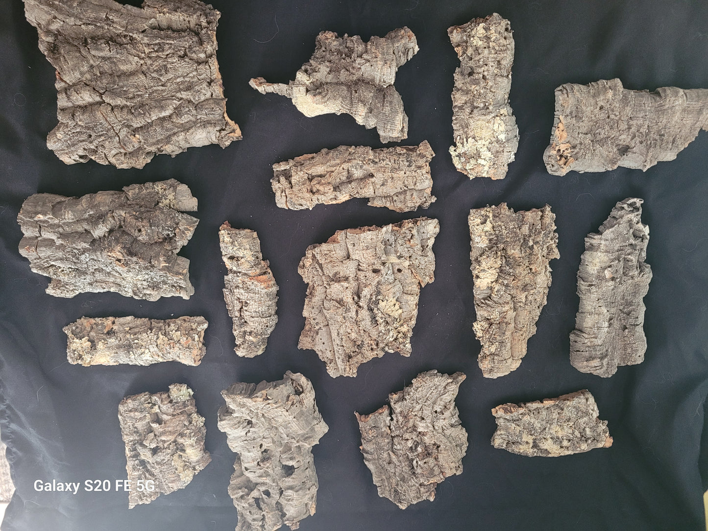 Cork bark flats (4-7”)