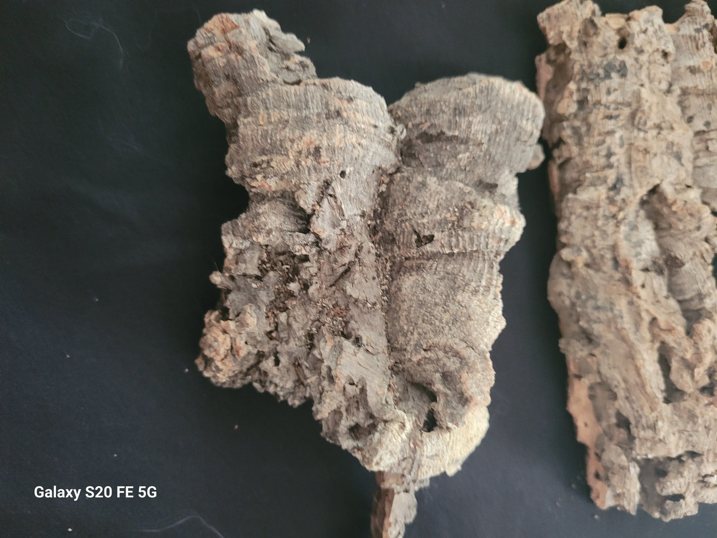 Cork bark flats (4-7”)