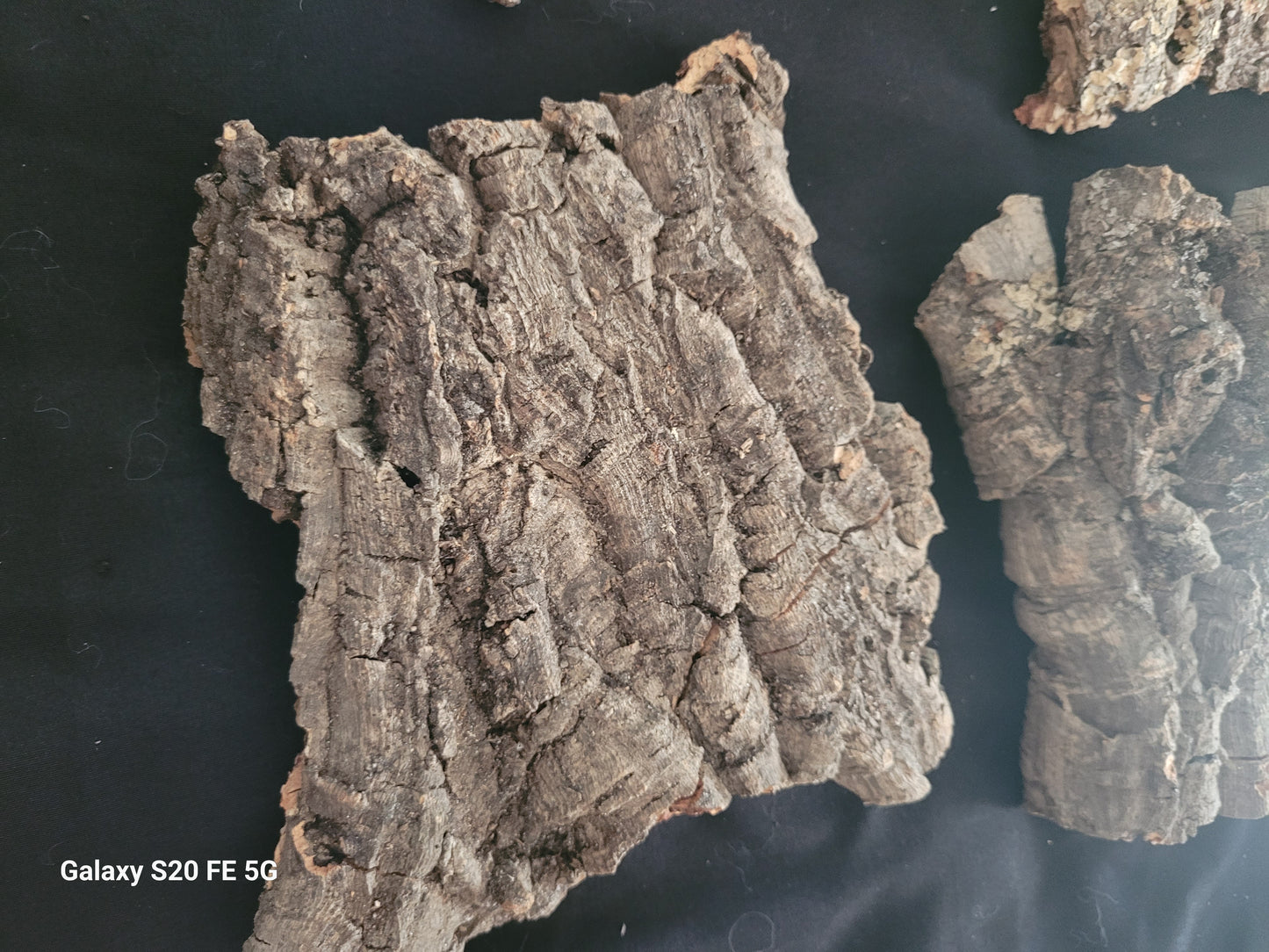 Cork bark flats (4-7”)