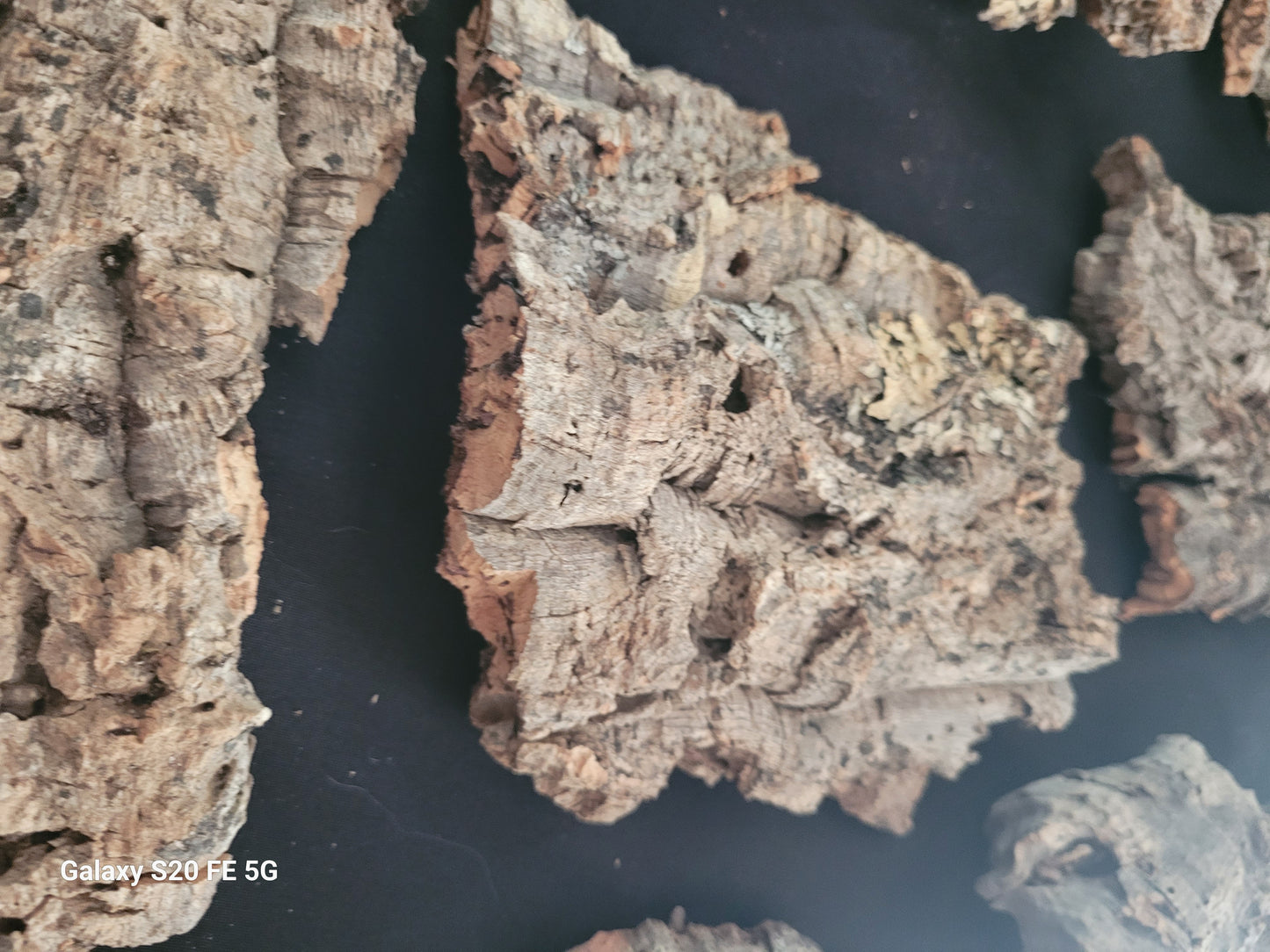 Cork bark flats (4-7”)