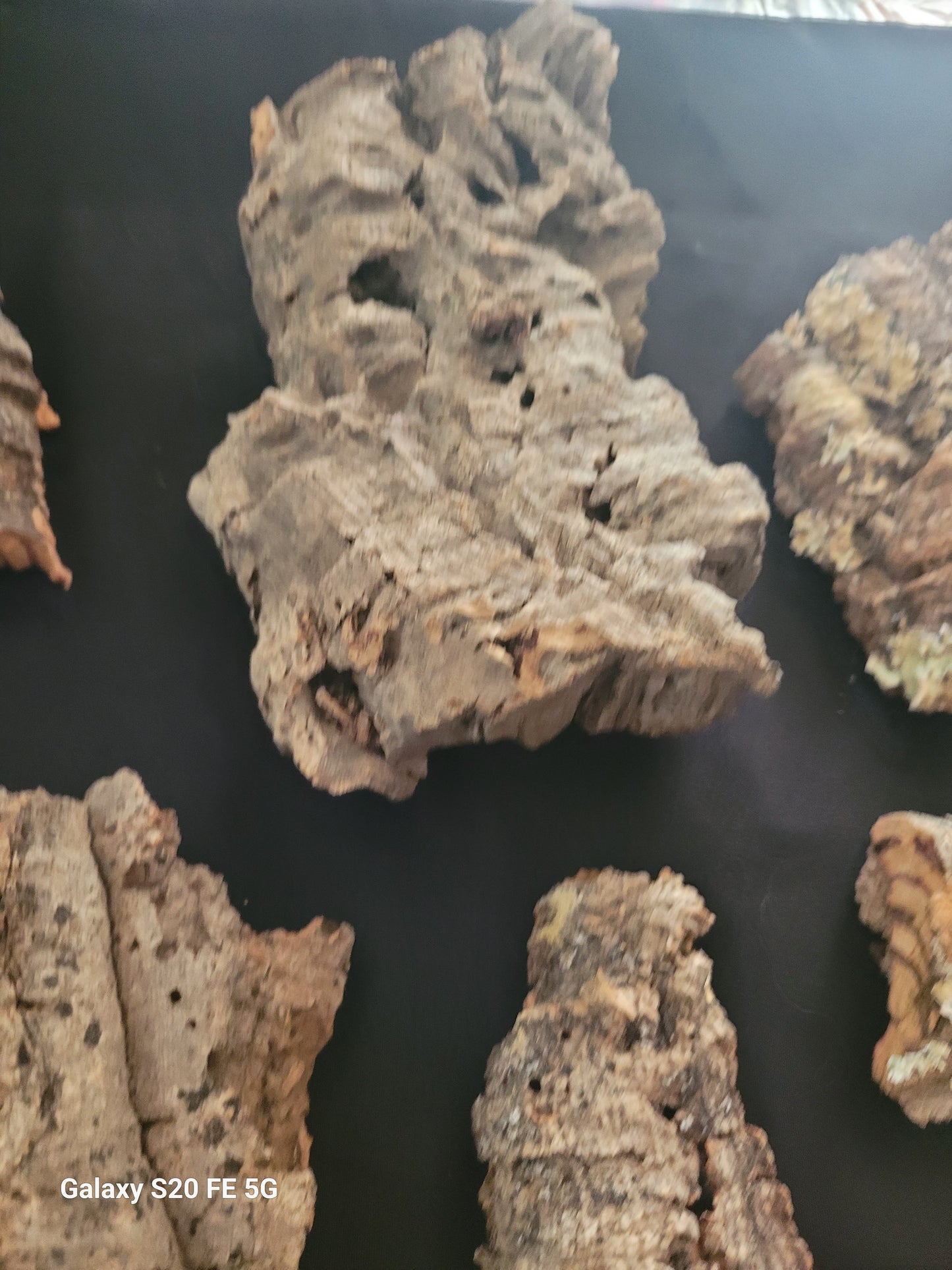 Cork bark flats (4-7”)