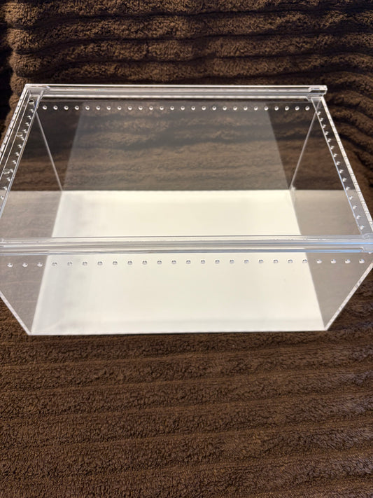 Desktop acrylic isopod enclosure