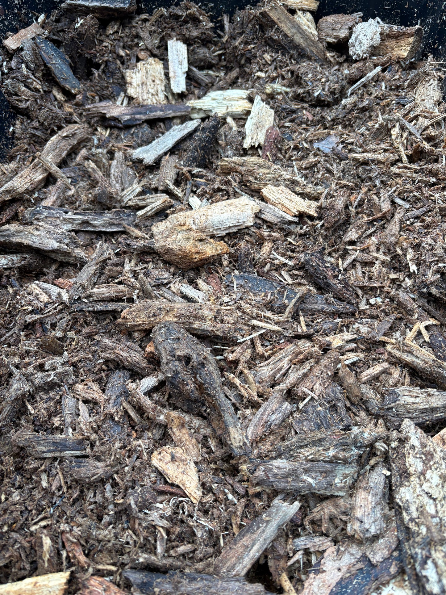 NoLi Pods N’ Stuff – Forest Gold™ Premium Rot Wood Mix