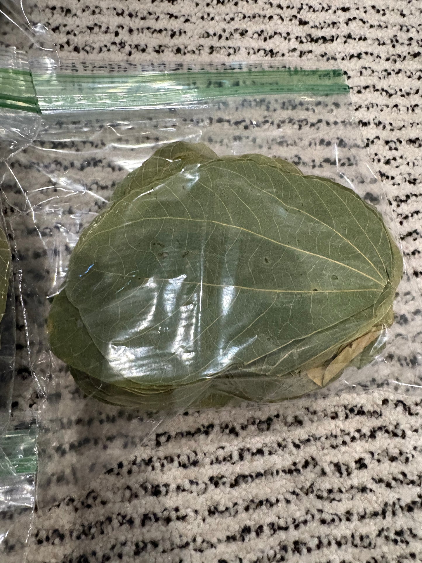 Asian Orchid Leaves