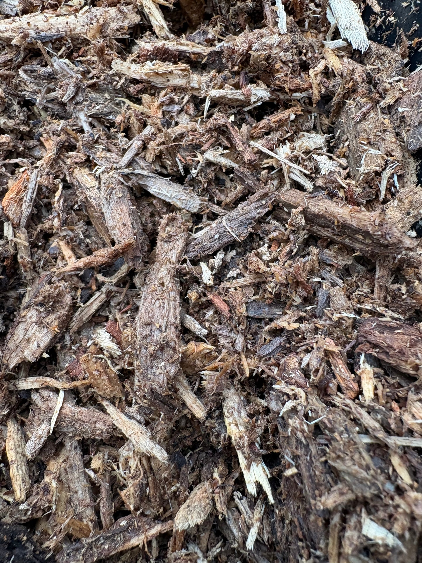 NoLi Pods N’ Stuff – Forest Gold™ Premium Rot Wood Mix