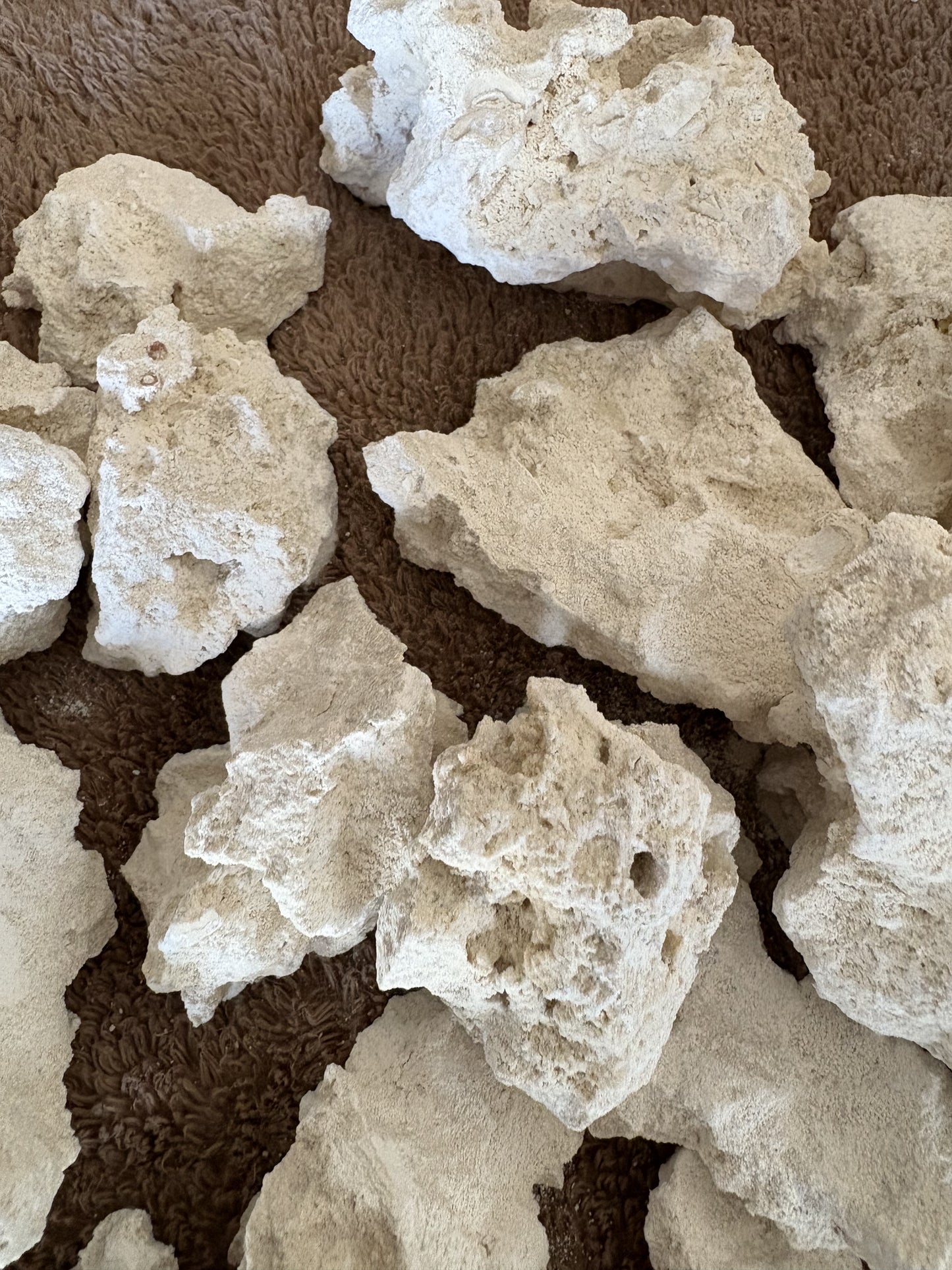 Limestone Rock