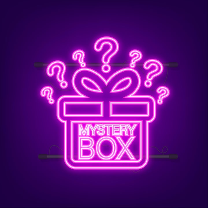$100 Mystery Box