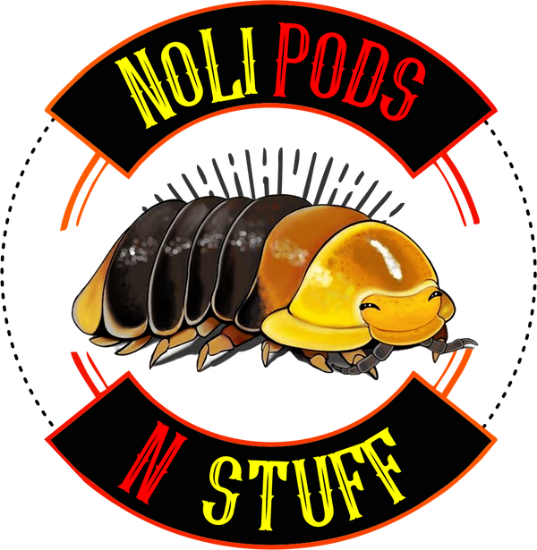 NoLi Pods N' Stuff